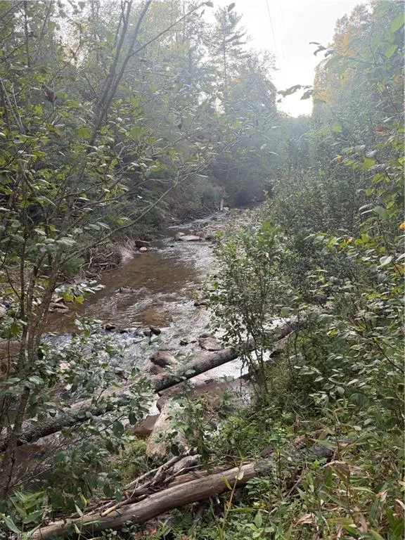0 W US Highway 421 Purlear, NC 28665