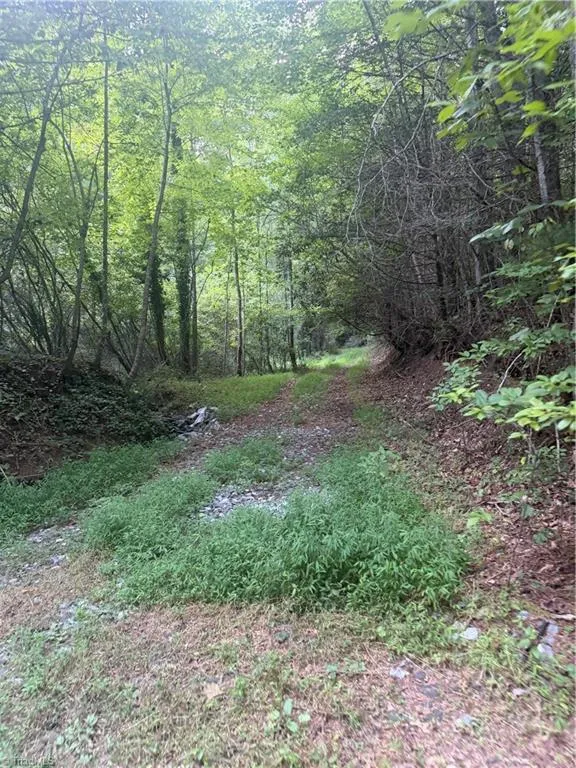 0 W US Highway 421 Purlear, NC 28665