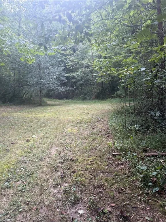 0 W US Highway 421 Purlear, NC 28665
