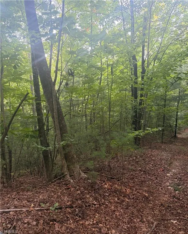 0 W US Highway 421 Purlear, NC 28665