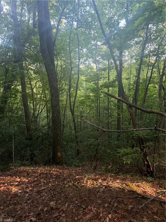 0 W US Highway 421 Purlear, NC 28665