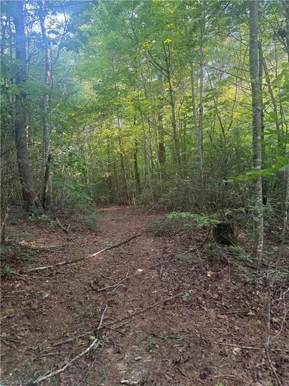 0 W US Highway 421 Purlear, NC 28665