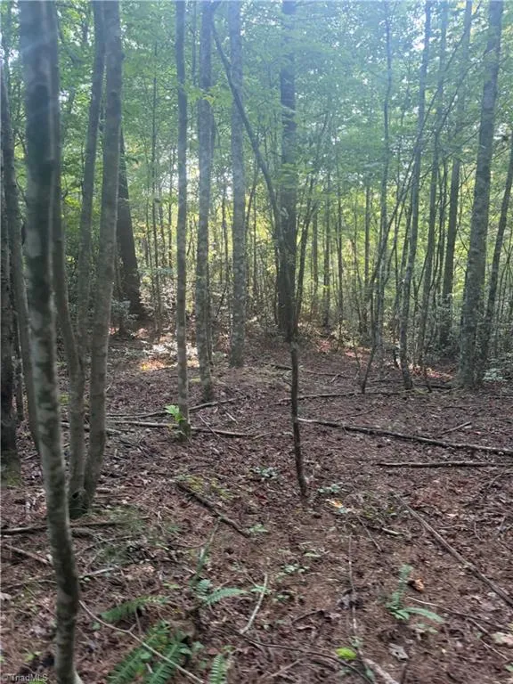 0 W US Highway 421 Purlear, NC 28665