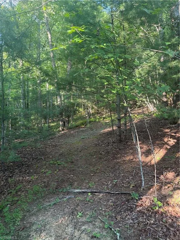0 W US Highway 421 Purlear, NC 28665
