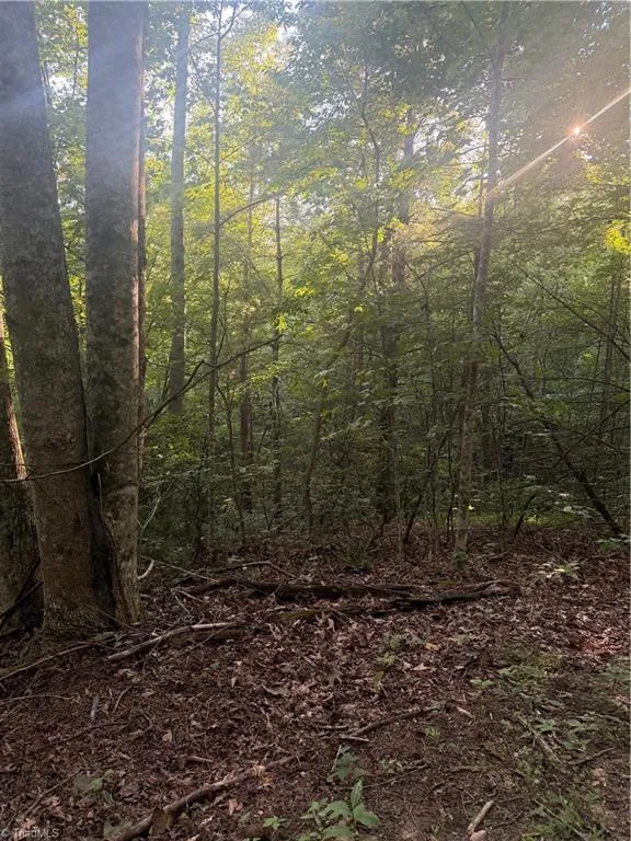 0 W US Highway 421 Purlear, NC 28665