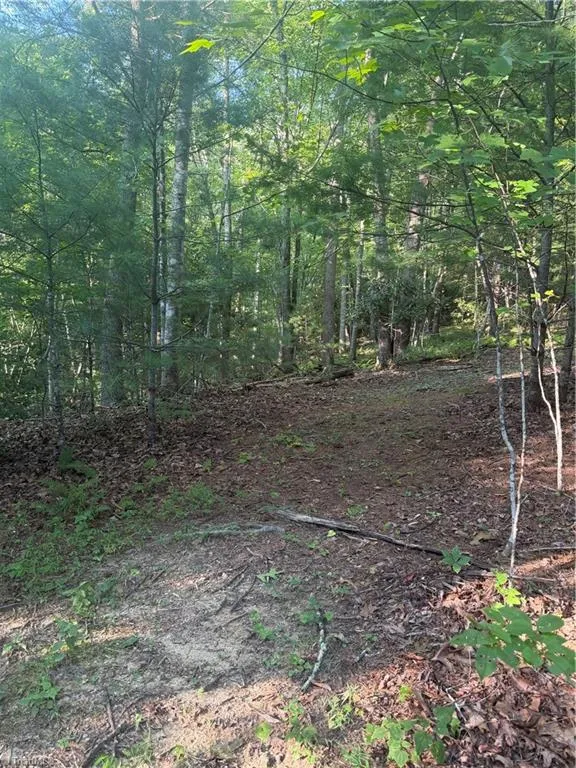0 W US Highway 421 Purlear, NC 28665