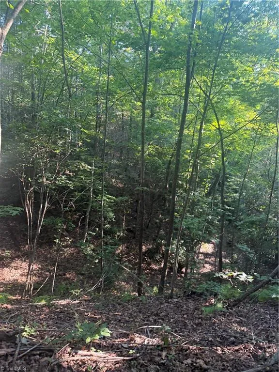 0 W US Highway 421 Purlear, NC 28665