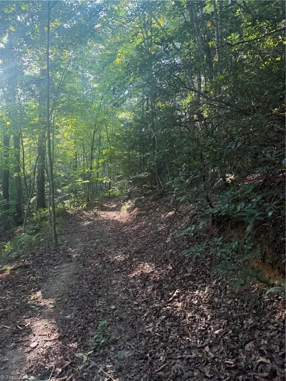 0 W US Highway 421 Purlear, NC 28665
