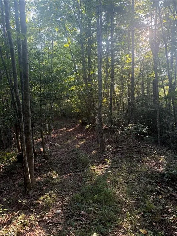 0 W US Highway 421 Purlear, NC 28665