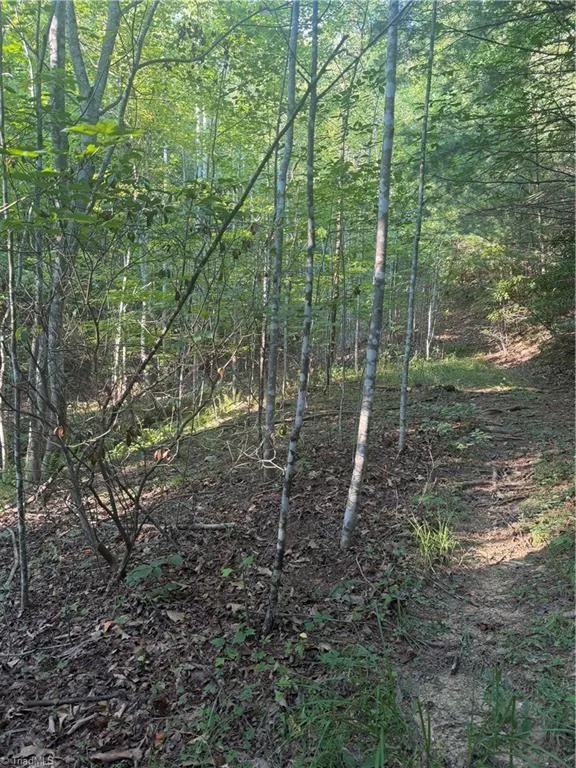 0 W US Highway 421 Purlear, NC 28665