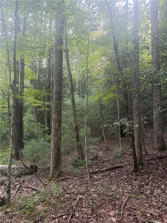 0 W US Highway 421 Purlear, NC 28665