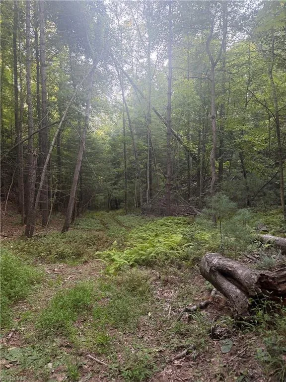 0 W US Highway 421 Purlear, NC 28665