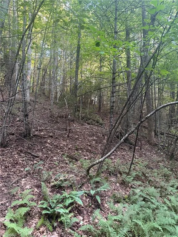 0 W US Highway 421 Purlear, NC 28665