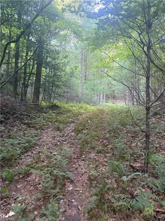 0 W US Highway 421 Purlear, NC 28665