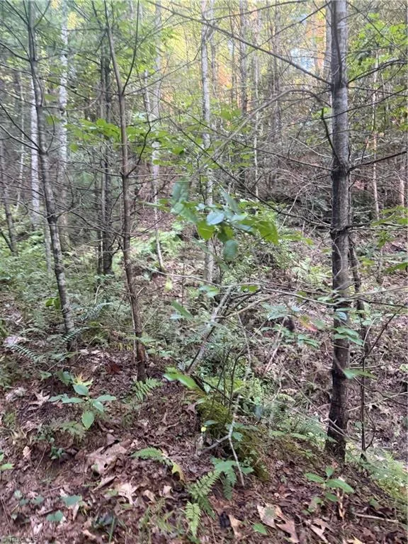 0 W US Highway 421 Purlear, NC 28665
