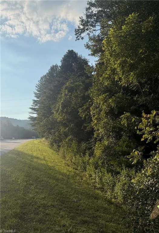 0 W US Highway 421 Purlear, NC 28665