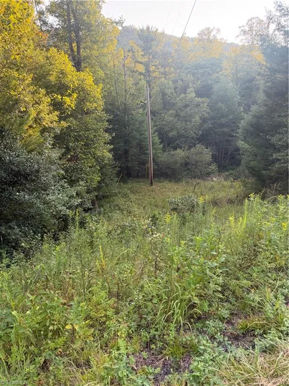 0 W US Highway 421 Purlear, NC 28665
