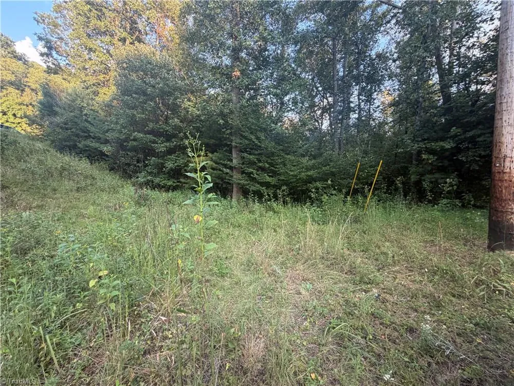 0 W US Highway 421 Purlear, NC 28665