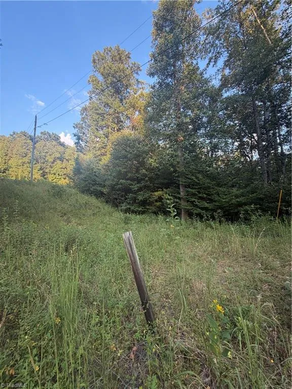 0 W US Highway 421 Purlear, NC 28665