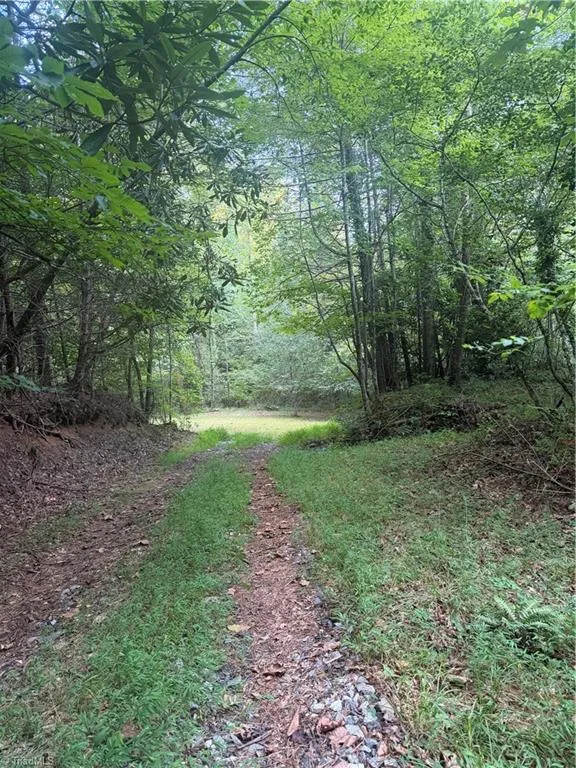 0 W US Highway 421 Purlear, NC 28665