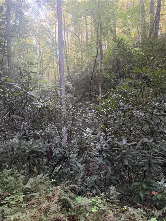 0 W US Highway 421 Purlear, NC 28665