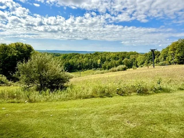 5828 Shanty Creek Road Kearney Township, MI 49615