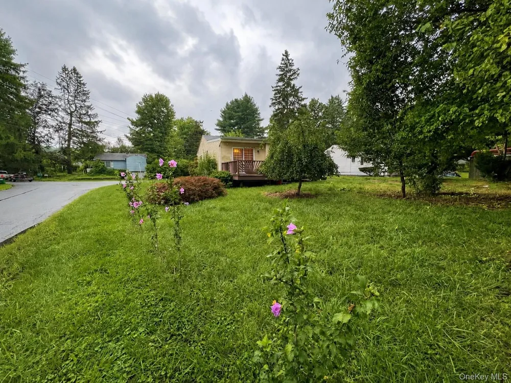 29 Madison Avenue Hyde Park, NY 12538