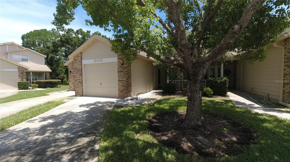 6421 REMUS DRIVE New Port Richey, FL 34653