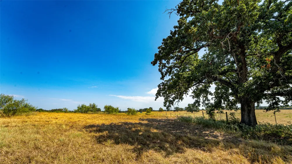 CR 446 Rockdale, TX 76567