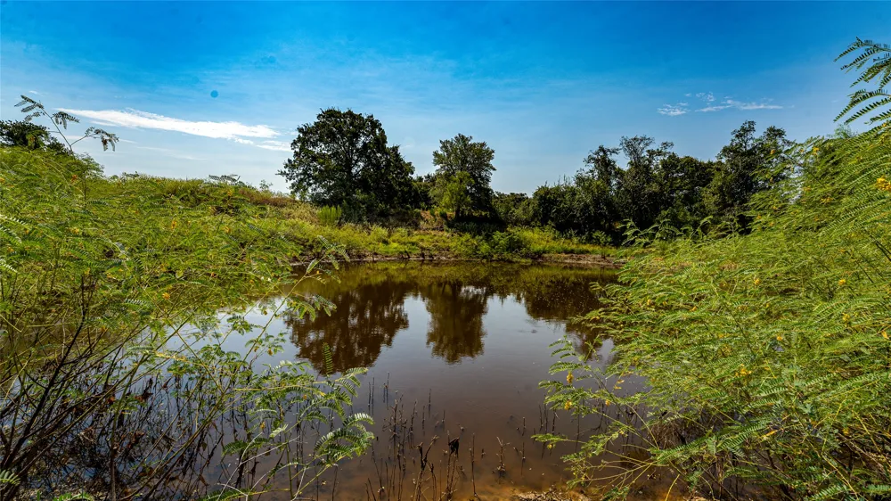 CR 446 Rockdale, TX 76567