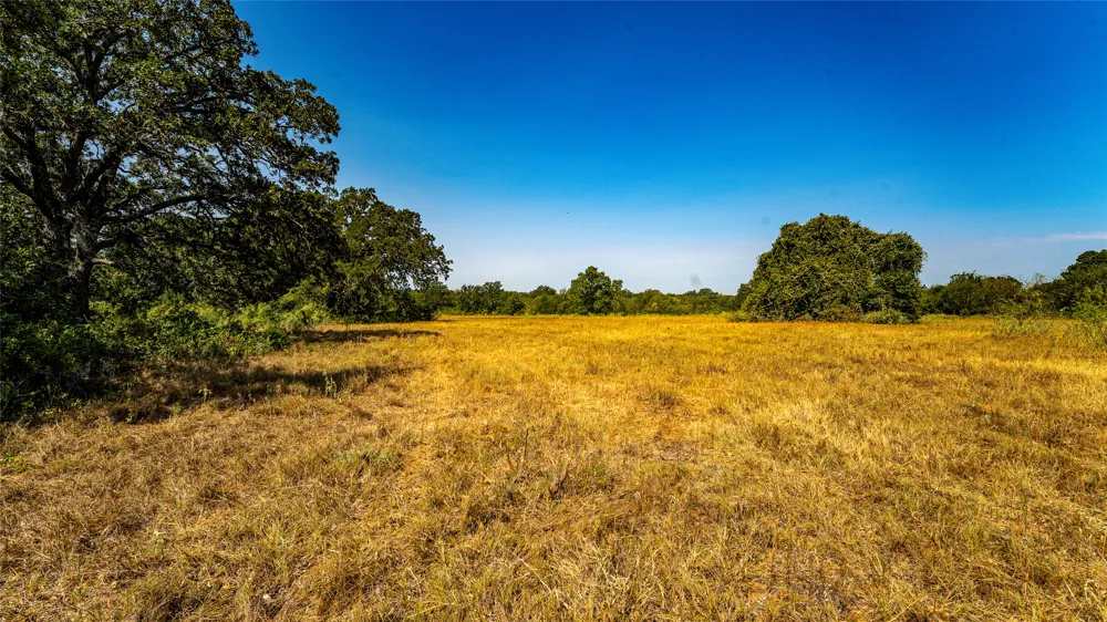 CR 446 Rockdale, TX 76567
