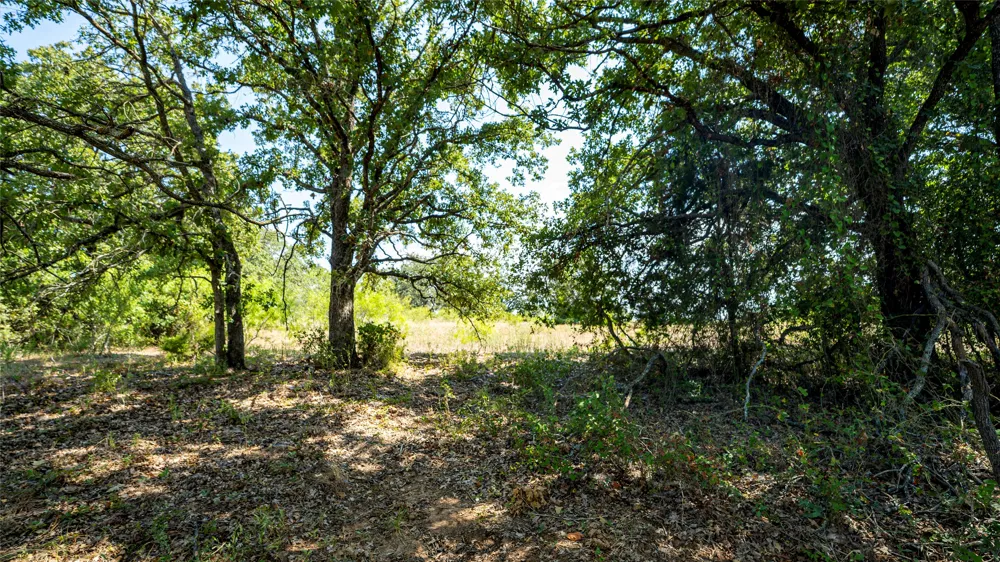 CR 446 Rockdale, TX 76567