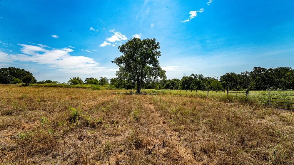 CR 446 Rockdale, TX 76567