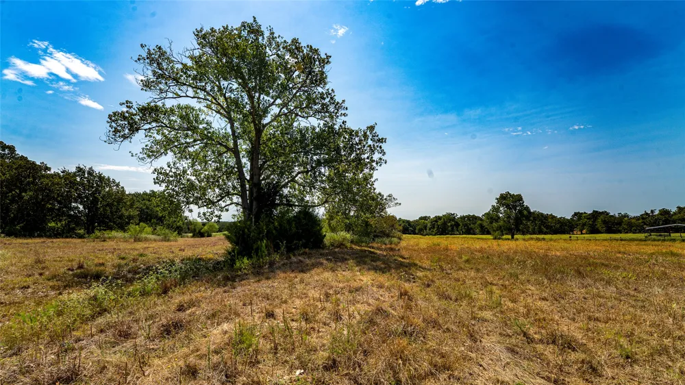 CR 446 Rockdale, TX 76567