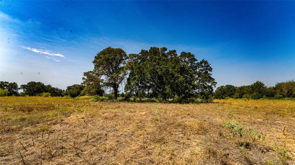 CR 446 Rockdale, TX 76567