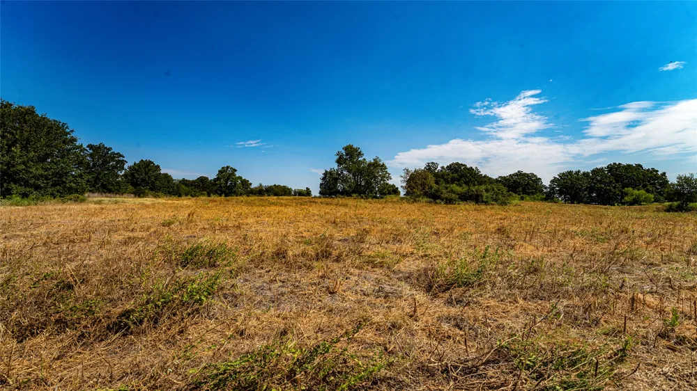 CR 446 Rockdale, TX 76567