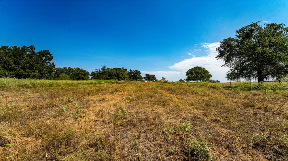 CR 446 Rockdale, TX 76567