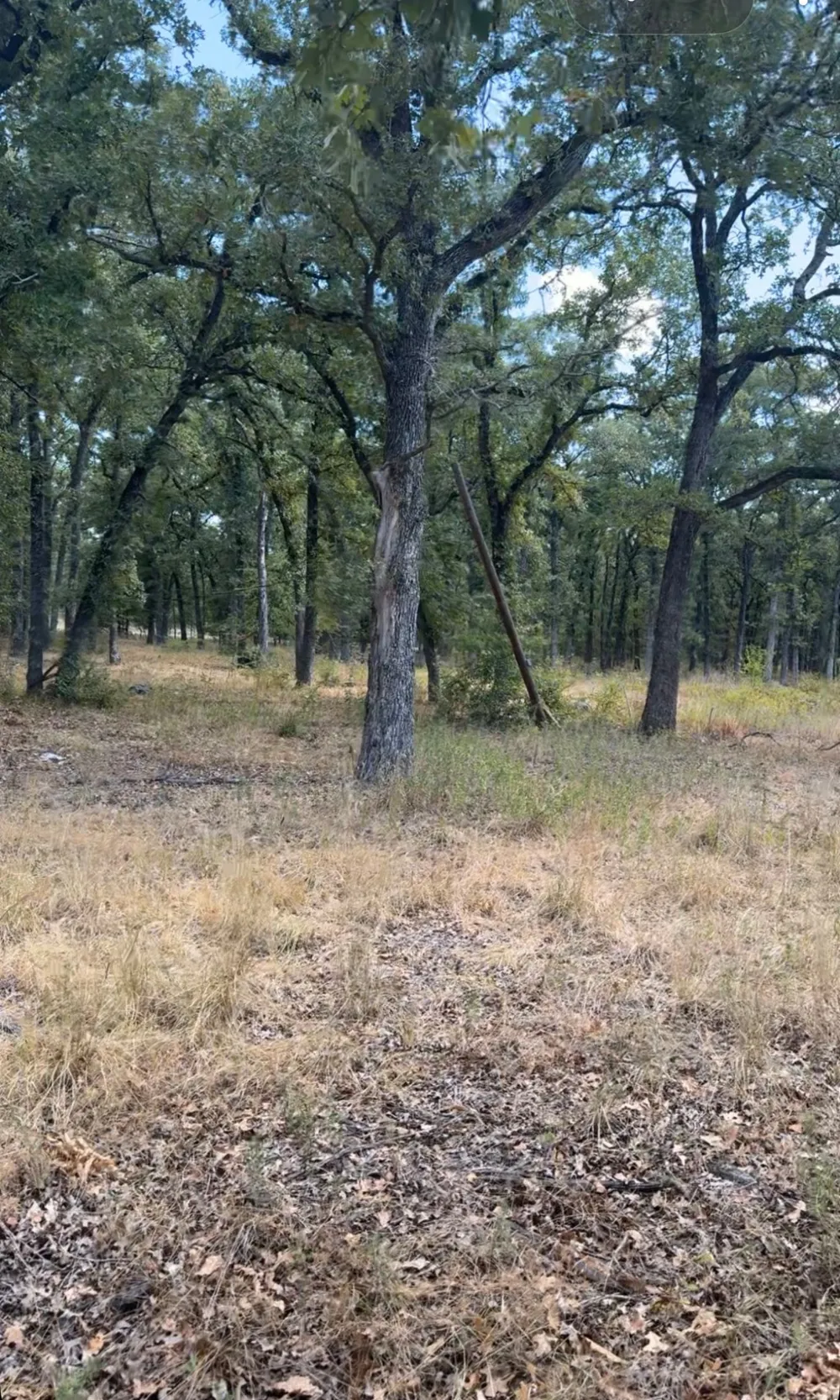 R And R Kemp, TX 75143