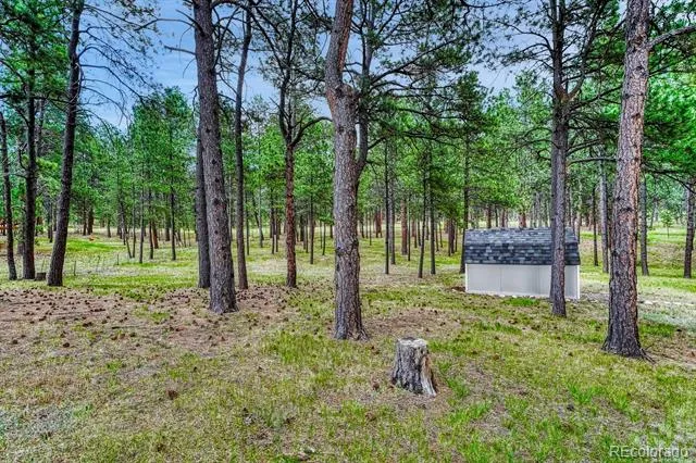 14225 Ponderosa Road Colorado Springs, CO 80908