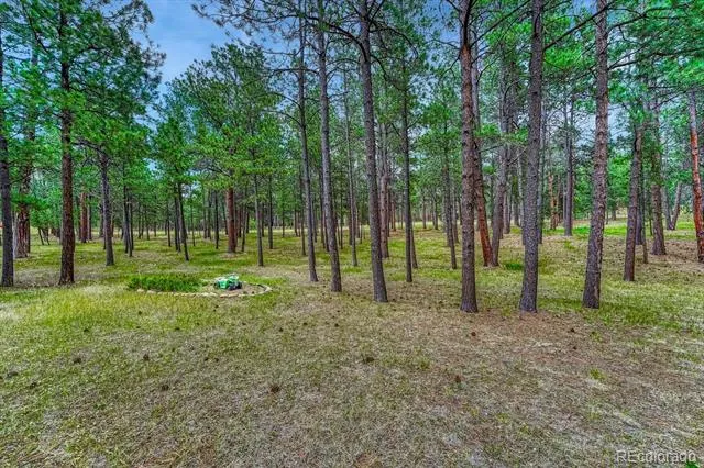 14225 Ponderosa Road Colorado Springs, CO 80908