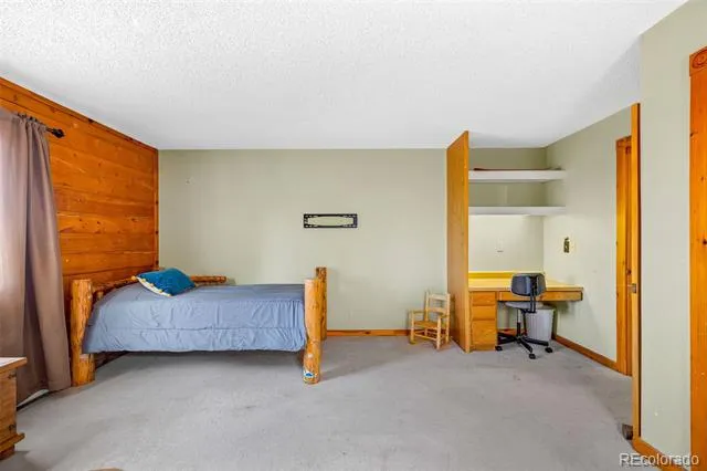 597 Sheep Ridge Road Fairplay, CO 80440