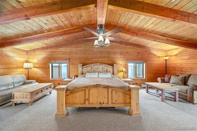 597 Sheep Ridge Road Fairplay, CO 80440