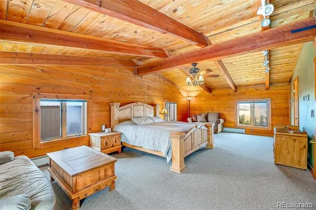 597 Sheep Ridge Road Fairplay, CO 80440