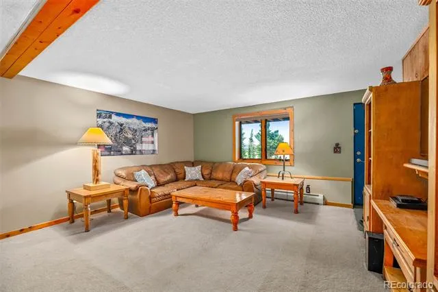 597 Sheep Ridge Road Fairplay, CO 80440