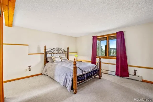597 Sheep Ridge Road Fairplay, CO 80440