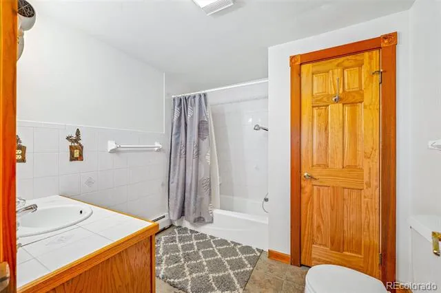 597 Sheep Ridge Road Fairplay, CO 80440