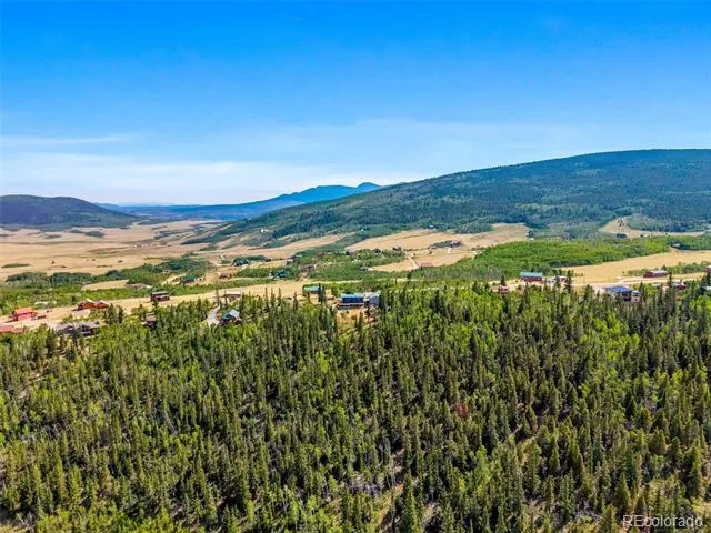 597 Sheep Ridge Road Fairplay, CO 80440