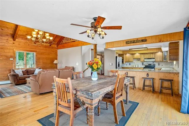 597 Sheep Ridge Road Fairplay, CO 80440