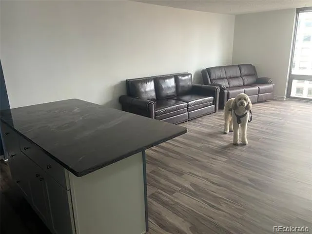 1625 Larimer Street #2004 Denver, CO 80202