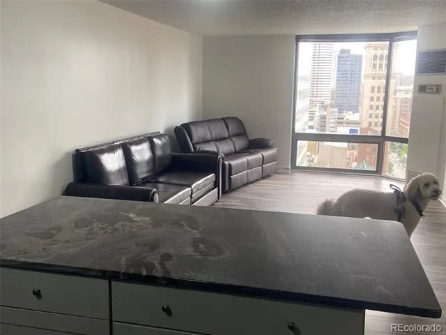 1625 Larimer Street #2004 Denver, CO 80202